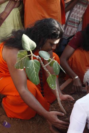 20120401 Photo 1211 1sIbWTiE bevsl1cuWRehMQbAyfNgNYLv.JPG