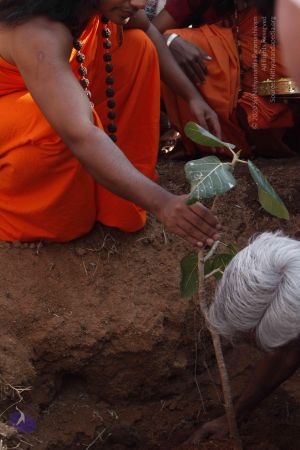 20120401 Photo 1214 103f6qeFzmwdNRvW38AR3a575awdBpW3q.JPG