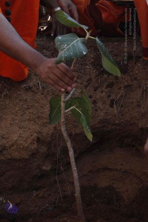 20120401 Photo 1215 1dqBJ87TjHgE6nWmspkSZE6kEx5LrJ5EO.JPG