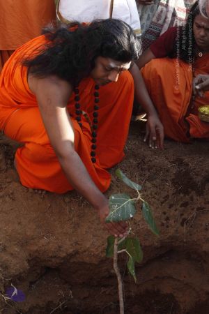 20120401 Photo 1217 1Qkhg6feDoWc4221Z~ZZb SKcrLpn5tC.JPG