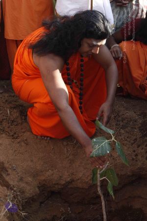 20120401 Photo 1218 1fk-Xw75X0Hm BV vVFsxIKkKHFKOtkBH.JPG