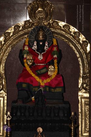 20120401 Photo 1329 1KMHtGIeNULj7AvBvrWx96w7JCgaVMDr9.JPG