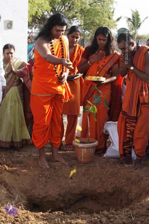 20120402 Photo 1120 1VXzedHdgZfC7ee-sv3Wj3xn4 Ttnnzts.JPG