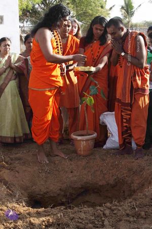 20120402 Photo 1122 1trLRMCS2 y7KaKeXuuO9yF7EcWCIPrgK.JPG