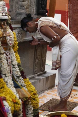 20120403 Photo 1028 1jBpkEqe2cUfLzBJENaeun7aRM64pXCFH.JPG