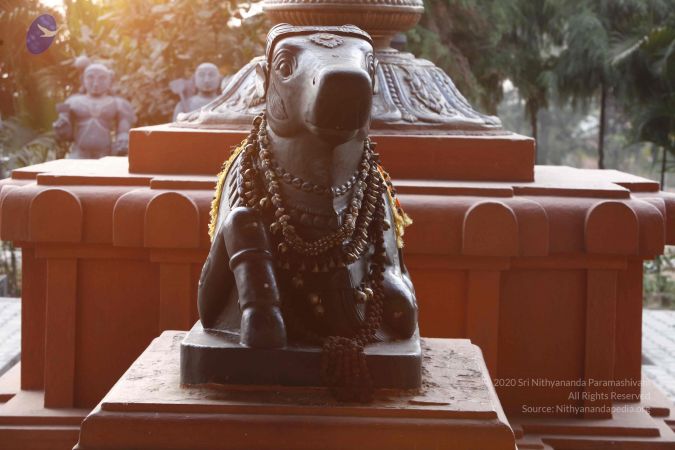 20120405 Photo 1003 1bAsUc0JE8 GsCUhPcuXoWSTRmvROQukn.JPG