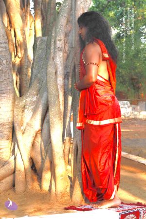 20120405 Photo 1021 1MGLIDal1sVfROs8yy4lnUJpjAgYQ-XXw.JPG