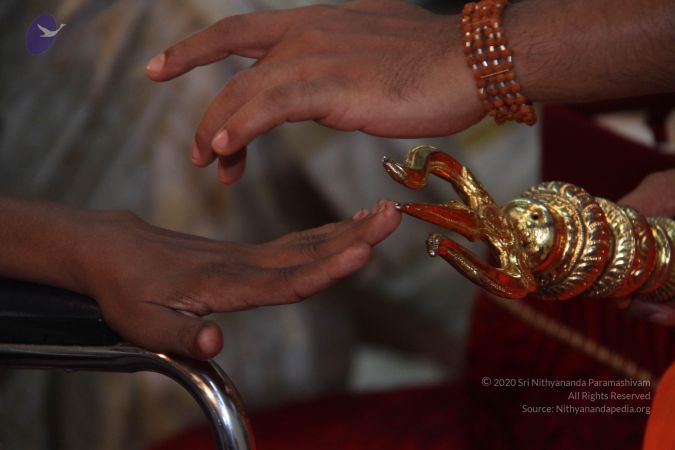 20120406 Photo 1052 1AqOknm5ZEXZA4s1jIKo2eXhRQmyq1GlJ.JPG