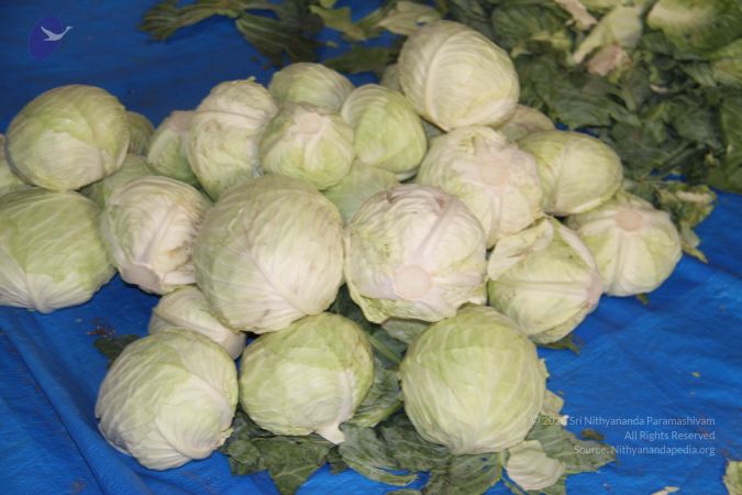 20120406 Photo 1155 1xafAyMxeku67IPwoH1zHV7NDzmv1WE8m.JPG