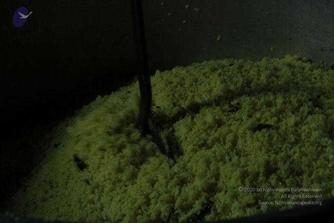 20120406 Photo 1205 1NyBQyOVjSAcd8rzJHRGjpC4OOFnKdzBT.JPG