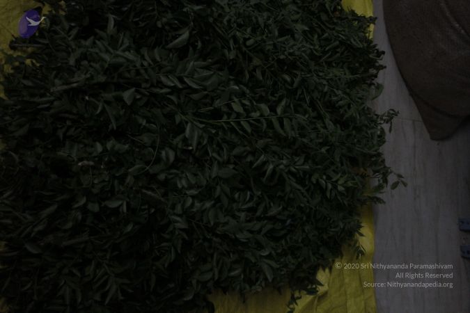 20120406 Photo 1211 1oaMR64MWI9D7vq3WNuftYG2GPI-3PuND.JPG