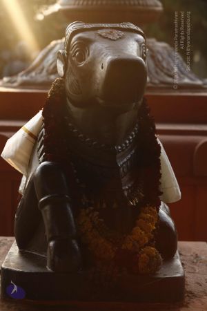 20120408 Photo 1004 1gKRUI3zUwA6xtb2GZscWSQDiiq7GLjZ0.JPG