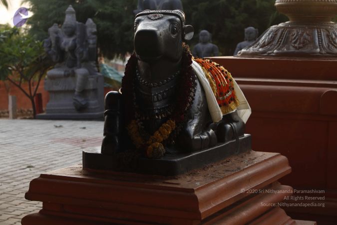 20120408 Photo 1005 105lnFYBv6wS-J3X9lXDYLwiLm1u6l2oL.JPG