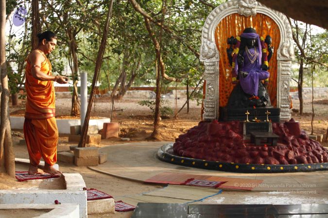 20120408 Photo 1032 1wEprv439BmVTSMN n5Py5e1qqEqDIyQI.JPG