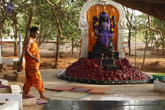 20120408 Photo 1033 1nLBbBMpDvu5avJeDWMCyBEa2ryvUWEd9.JPG