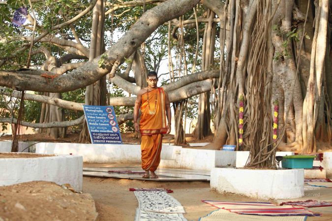 20120408 Photo 1038 1PSO2W-BD4iuTsPoSRjff-6m Q66CoIND.JPG