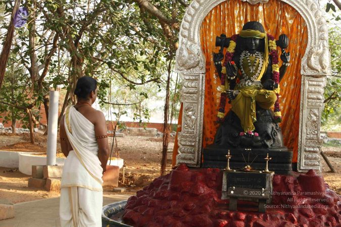 20120409 Photo 1032 12oEX4GpPURy7FB2wNt3-2OxGMvToCGpa.JPG