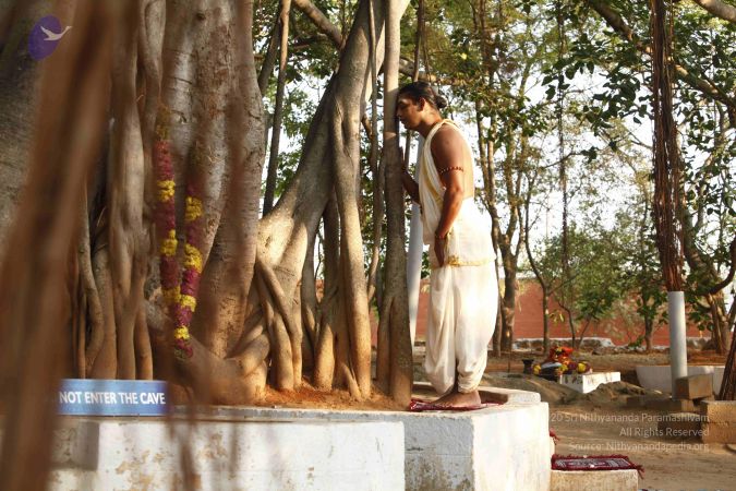 20120409 Photo 1036 17iD8XGPWHrJ0-eS1wXgh13EnhYRZf7Zx.JPG