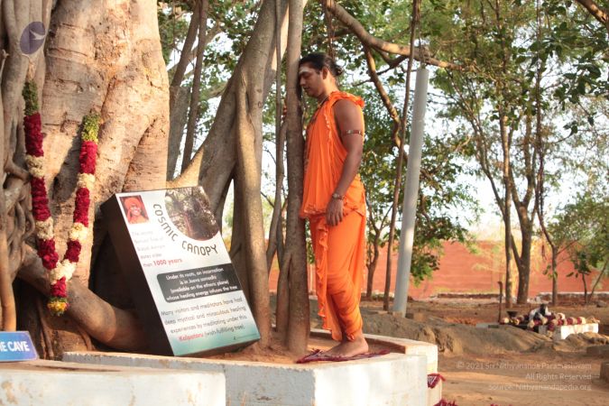 20120419 IMG 1415-24.jpg