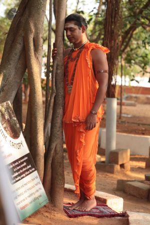 20120419 IMG 1417-10.jpg