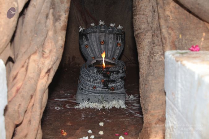 20120419 IMG 1675-10.jpg