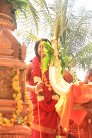 20120423 IMG 1691-33.jpg