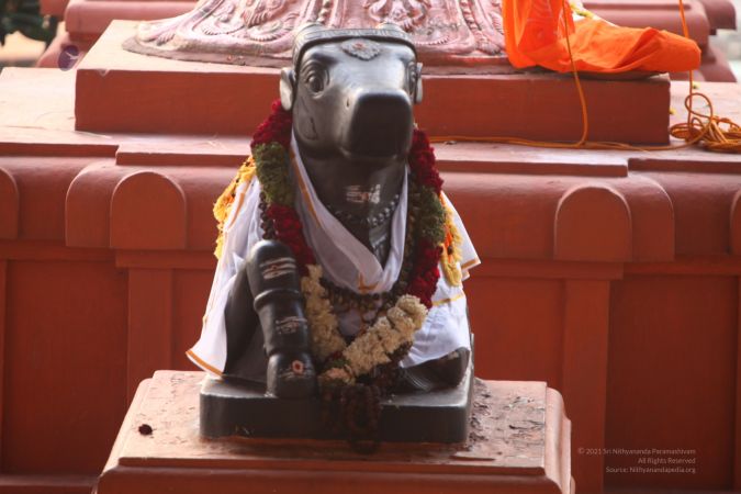 20120423 IMG 6534-08.jpg