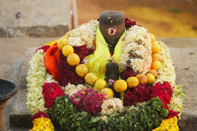 20120423 IMG 6539-12.jpg