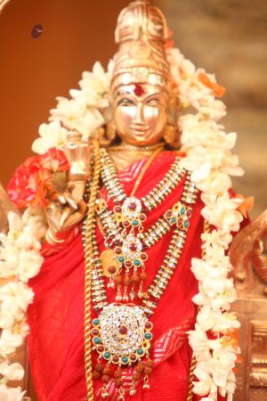 20120423 IMG 6567-37.jpg