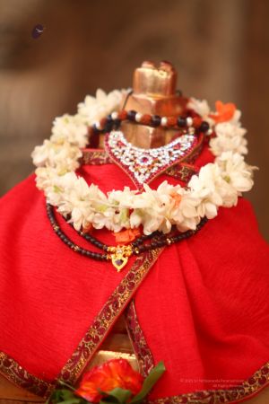 20120423 IMG 6569-39.jpg