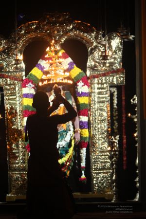 20120423 IMG 7194-06.jpg