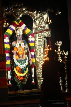 20120423 IMG 7195-07.jpg