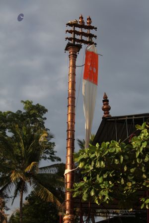 20120423 IMG 8766-04.jpg