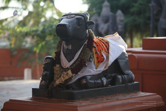 20120423 IMG 8767-05.jpg