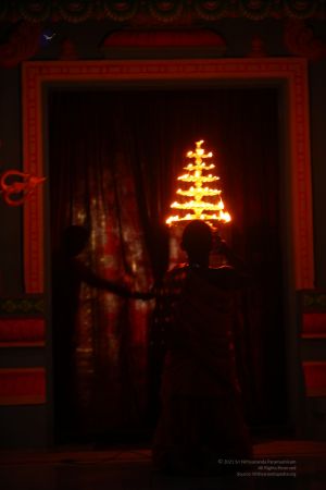 20120424 IMG 8171-01.jpg