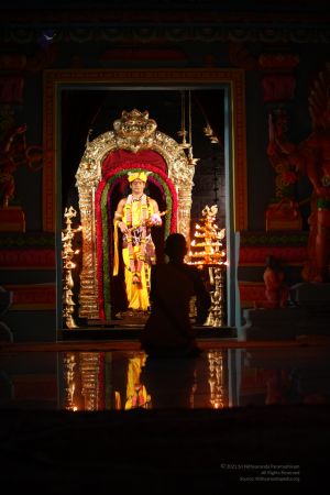 20120426 IMG 0427-01.jpg