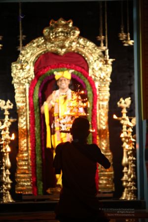 20120426 IMG 0438-12.jpg