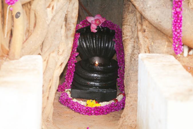 20120426 IMG 9753-03.jpg