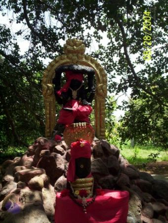 20120427 100 0521 CMP WM-0601.jpg