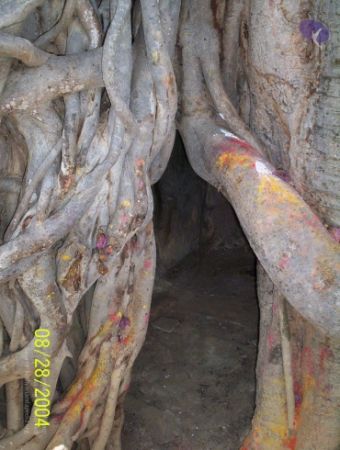 20120427 100 0552 CMP WM-1001.jpg