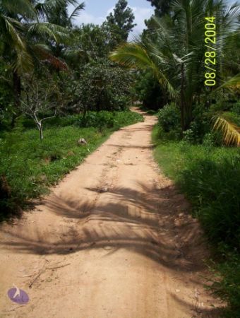 20120427 100 0605 CMP WM-1701.jpg