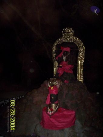 20120427 100 0638 CMP WM-2001.jpg