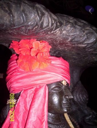 20120427 100 0657 CMP WM-3101.jpg