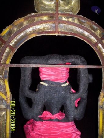 20120427 100 0660 CMP WM-3401.jpg