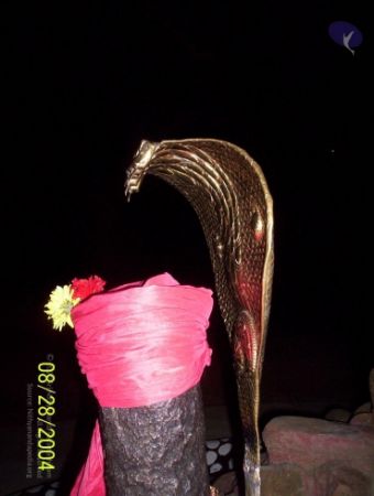 20120427 100 0664 CMP WM-3801.jpg