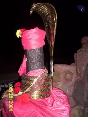 20120427 100 0666 CMP WM-4001.jpg