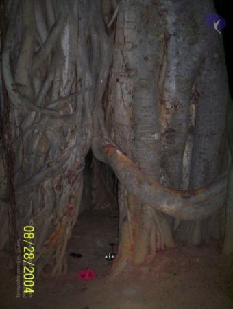 20120427 100 0675 CMP WM-4401.jpg