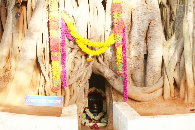 20120428 IMG 9824-0501.jpg