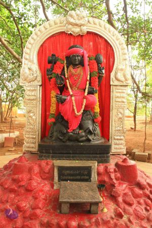 20120429 Photo 1021 1LOlAqrezfJKAwlpQWVyhMzbbXLexR5yU.JPG