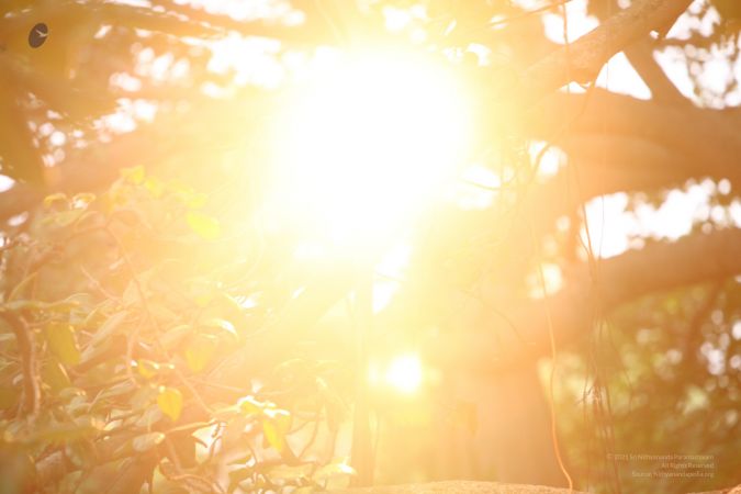 20120430 IMG 0242-6001.jpg